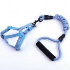 Durable Pet Dog Nylon Rope Leash + Collar / Harness + Leash Set Adjustable