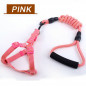 Durable Pet Dog Nylon Rope Leash + Collar / Harness + Leash Set Adjustable