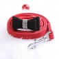 Pet wedding Bling  Collar PU Leather Buckle Dog Collar Neck Strap with dog leash