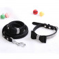 Pet wedding Bling  Collar PU Leather Buckle Dog Collar Neck Strap with dog leash