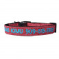 Embroidered Personalized Dog Collar, Cat collar Custom Pet Name+Number