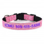 Personalized Dog Collars - Gliter Fabric+Nylon Custom Embroidered cat Collar