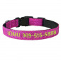 Personalized Dog Collars - Gliter Fabric+Nylon Custom Embroidered cat Collar