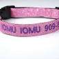 Personalized Dog Collars - Gliter Fabric+Nylon Custom Embroidered cat Collar