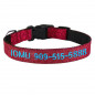 Personalized Dog Collars - Gliter Fabric+Nylon Custom Embroidered cat Collar