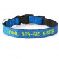 Personalized Dog Collars - Gliter Fabric+Nylon Custom Embroidered cat Collar