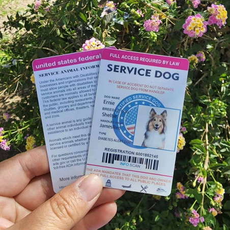 Service Dog ID Card Customized Holographic with Barcode PVC Card