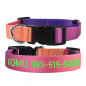 Gradient Personalized Custom Embroidered Nylon Dog Collar Adjustable Name number