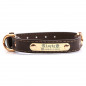 PU Personalized Dog Collars Name ID Collar with Name plate XS-XL Engraved