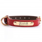 PU Personalized Dog Collars Name ID Collar with Name plate XS-XL Engraved