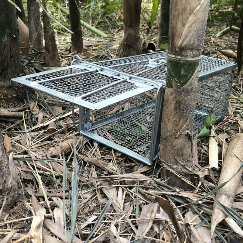 https://www.iomu.com/15059-large_default/2x-rat-trap-cage-small-live-animal-pest-rodent-mouse-control-catch-hunting-trap.jpg