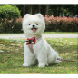 Bow tie Breathable Small Dog Cat Pet harness Vest Collar Chest Strap Leash XS-XL