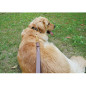 Short Leather Dog Leash for Large Dogs Training with Control Handle Traffic Lead