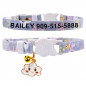 Qute Cat Collar Custom Personalised Safety Kitten with Name ID Tag Adjustable