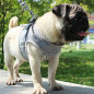 Small Dog Breathable Mesh harness Vest Collar soft chest strap XXS-L Leash set