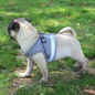 Small Dog Breathable Mesh harness Vest Collar soft chest strap XXS-L Leash set