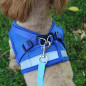 Small Dog Breathable Mesh harness Vest Collar soft chest strap XXS-L Leash set