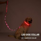 USB Charging LED Light Safety Pet Collar, Adjustable PU Dog Collar Night Walking