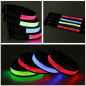 USB Charging LED Light Safety Pet Collar, Adjustable PU Dog Collar waterproof