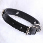 Jeweled Paw PU Faux Leather Collar Dog Cat Small XS S M Adjustable Bell Hook